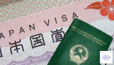 Việt Nam đứng đầu về số lượng người nhận được Visa kỹ năng đặc định